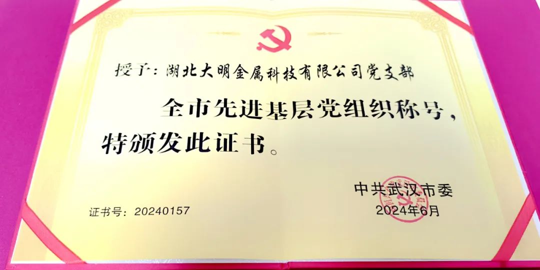 喜報(bào)！湖北大明黨支部榮獲“武漢市先進(jìn)基層黨組織”稱號(hào)